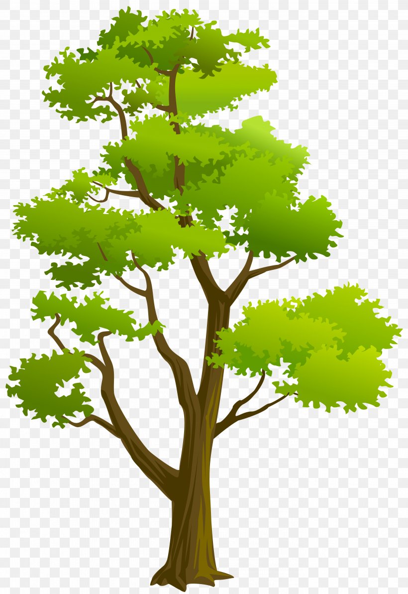 Clip Art, PNG, 5498x8000px, Tree, Architectural Engineering, Branch, Facebook, Flowerpot Download Free