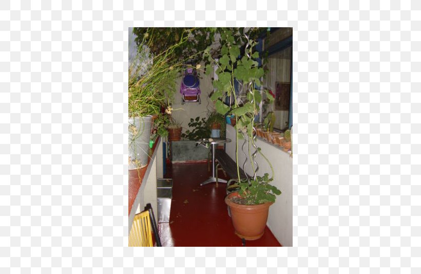 Flowerpot Property Houseplant Herb, PNG, 800x533px, Flowerpot, Flora, Flower, Herb, Houseplant Download Free