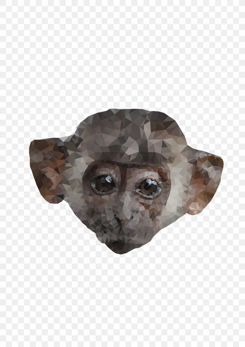 Primate Monkey Ape, PNG, 2400x3394px, Primate, Animal, Ape, Computer, Computer Network Download Free