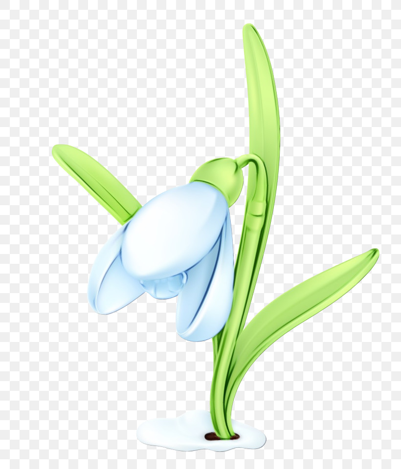 Snowdrop Galanthus Flower Plant Amaryllis Family, PNG, 732x960px, Watercolor, Amaryllis Family, Flower, Galanthus, Paint Download Free