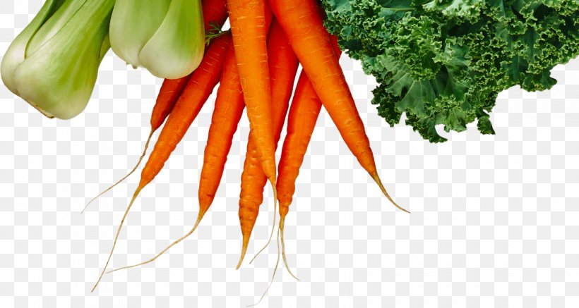 Baby Carrot Fruit Logistica Vegetable Farming Food, PNG, 1120x598px, Baby Carrot, Afacere, Berlin, Carrot, Food Download Free