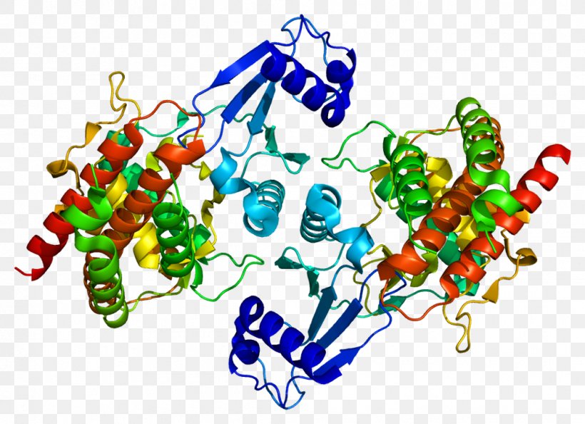 CHKB Choline Kinase Gene Protein, PNG, 1041x755px, Gene, Art, Choline, Chromosome, Chromosome 22 Download Free