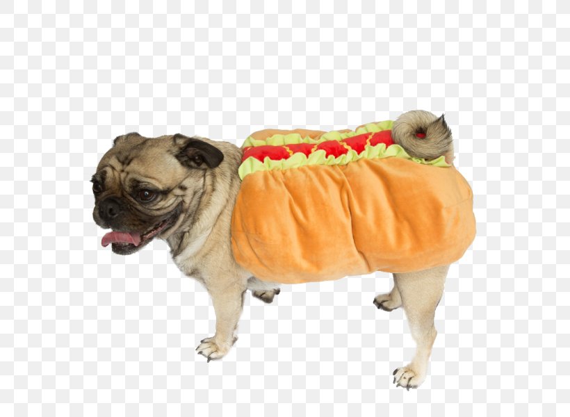 Pug Hot Dog Dachshund Dog Breed Beagle, PNG, 600x600px, Pug, Beagle, Carnivoran, Chihuahua, Companion Dog Download Free