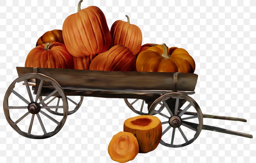 Pumpkin Halloween, PNG, 800x521px, Pumpkin, Autumn, Calabaza, Halloween, Internet Download Free