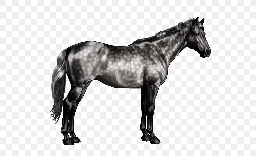American Paint Horse Arabian Horse Stallion Horse Markings Roan, PNG, 600x500px, Watercolor, Cartoon, Flower, Frame, Heart Download Free