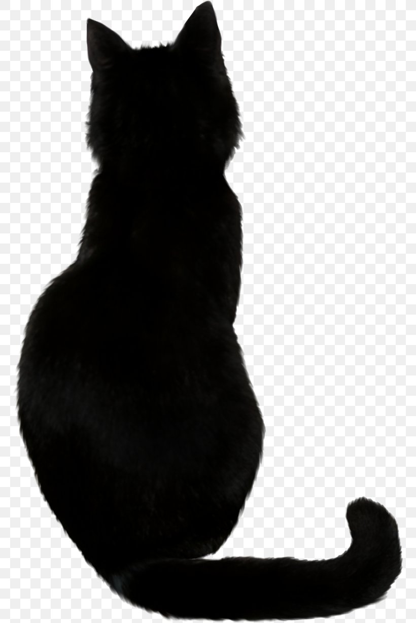 Bombay Cat Black Cat, PNG, 771x1228px, Savannah Cat, Abyssinian, Black, Black And White, Black Cat Download Free