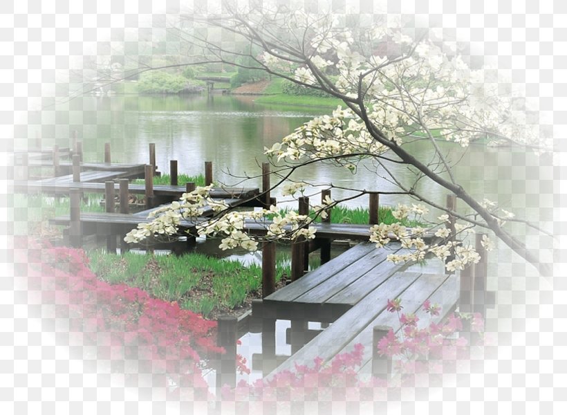 Chinese Garden Style Japanese Garden Design, PNG, 800x600px, Chinese Garden, Botanical Garden, Floral Design, Flower, Garden Download Free