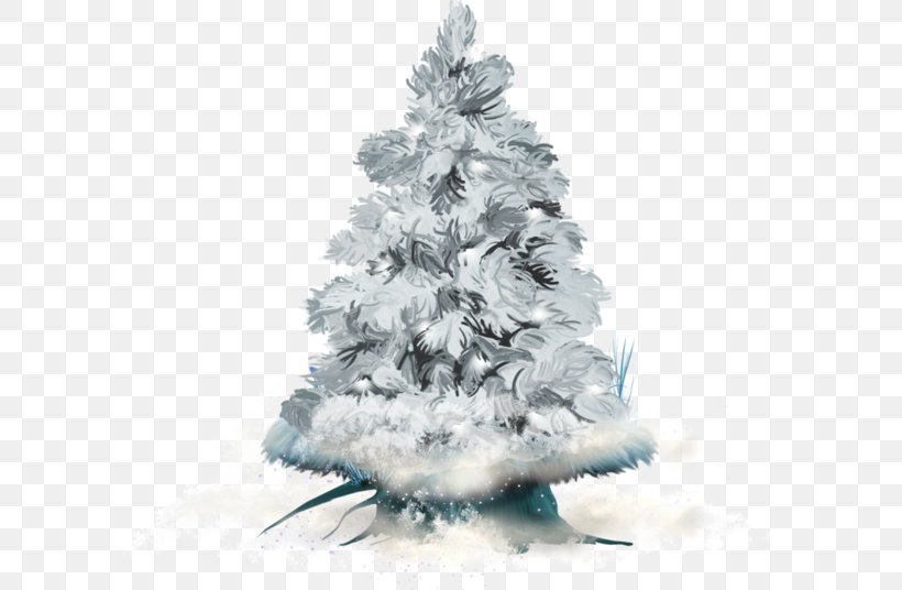 Christmas Tree Winter Fir, PNG, 600x536px, Christmas Tree, Christmas, Christmas Decoration, Christmas Lights, Christmas Ornament Download Free