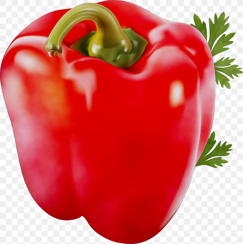 Habanero Piquillo Pepper Cayenne Pepper Bell Pepper Chili Pepper, PNG, 3885x3911px, Habanero, Bell Pepper, Bell Peppers And Chili Peppers, Black Pepper, Capsicum Download Free