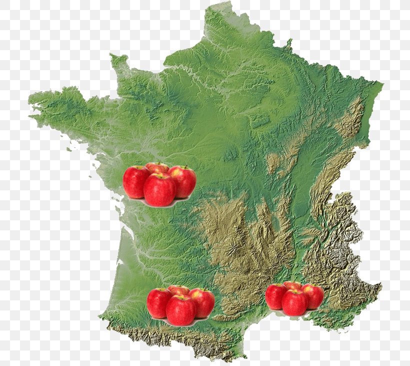 Île-de-France Map Alps Regions Of France, PNG, 722x731px, Map, Alps, Departments Of France, France, Fruit Download Free