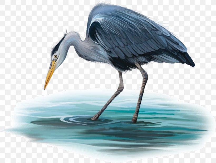 Little Blue Heron Crane Bird Egret Grey Heron, PNG, 927x700px, Little Blue Heron, Beak, Bird, Ciconiiformes, Crane Download Free