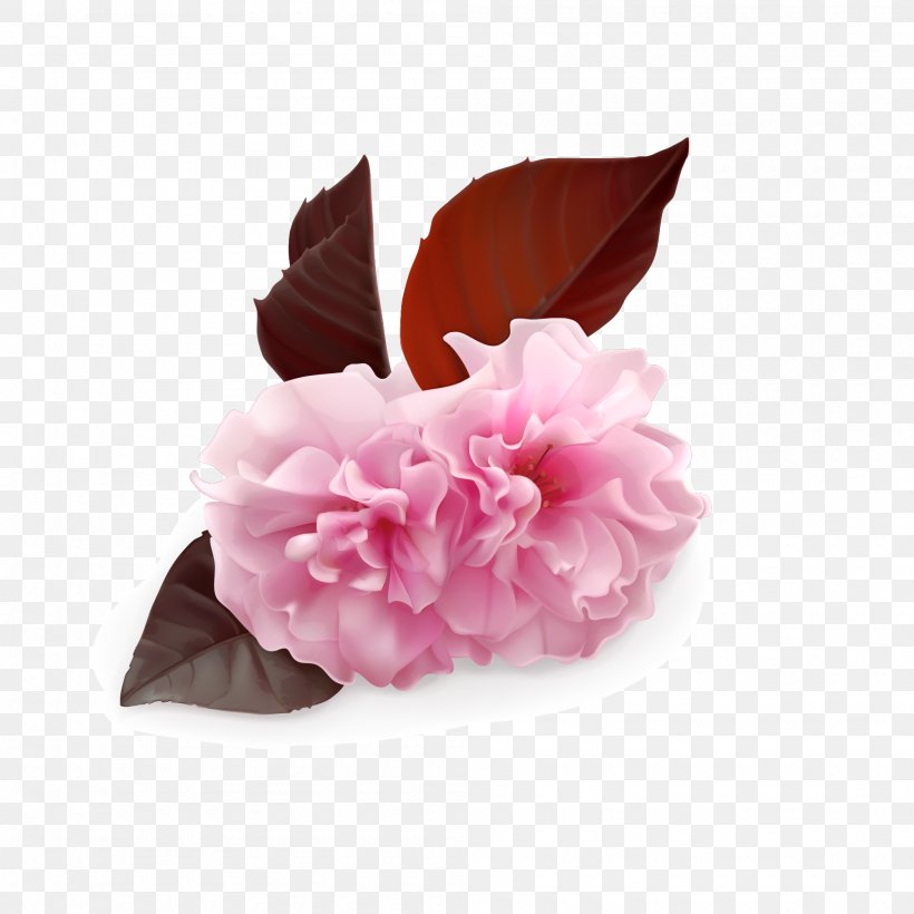 Flower Cherry Blossom, PNG, 2000x2000px, Flower, Blossom, Cherry Blossom, Peach, Petal Download Free