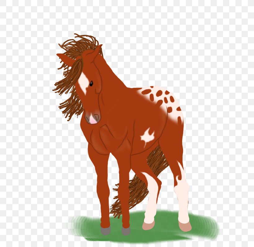 Mustang Foal Stallion Colt Mare, PNG, 600x799px, Mustang, Animal Figure, Bridle, Colt, Foal Download Free