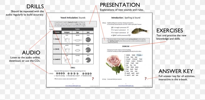 Pronunciation Studio English Spoken Language International Phonetic Alphabet, PNG, 1300x639px, 2018, Pronunciation, Area, Certified Teacher, Course Download Free