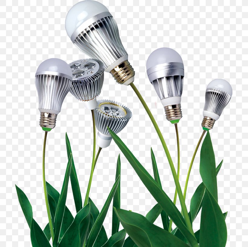 Energy Conservation Advertising Industry Lamp, PNG, 719x819px, Energy Conservation, Advertising, Audio, Audio Equipment, Business Download Free