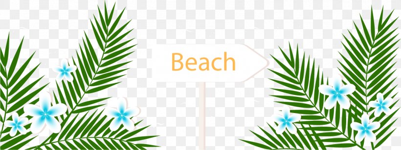Playa De La Arena Arecaceae Summer Vacation Beach, PNG, 1501x564px, Summer Vacation, Arecaceae, Beach, Branch, Christmas Decoration Download Free