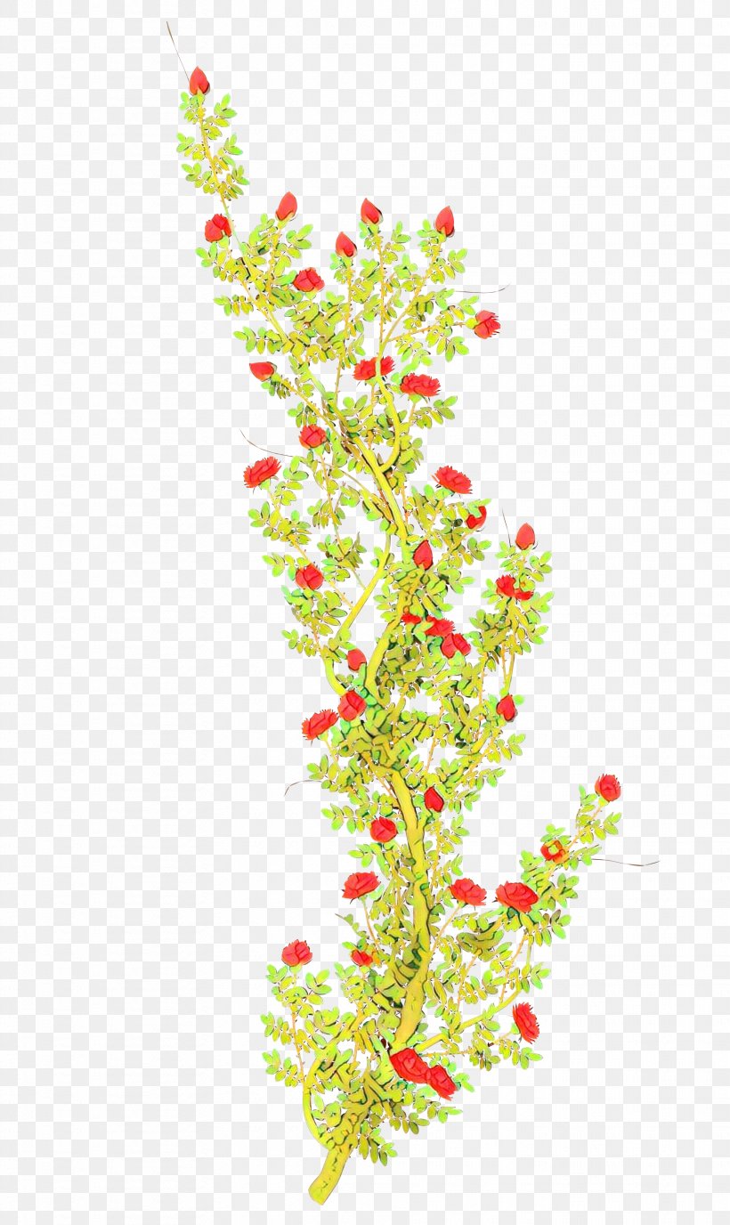 Twig Plant Stem Flower Shrub Leaf, PNG, 1819x3053px, Cartoon, Aquarium, Aquarium Decor, Branch, Flower Download Free