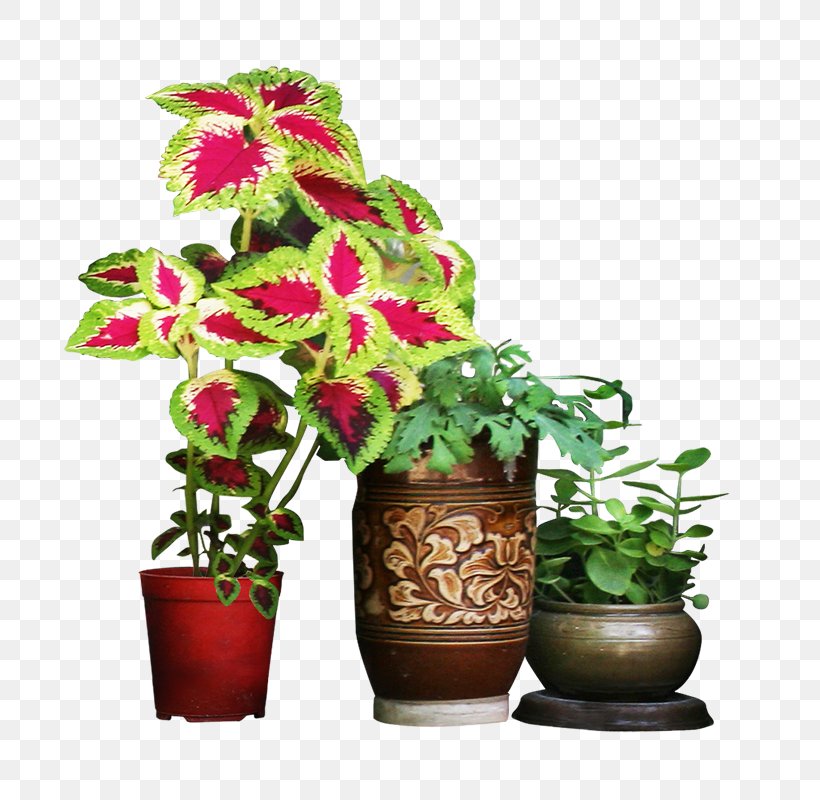 Vase Flowerpot Garden, PNG, 800x800px, Plant, Artificial Flower, Cut Flowers, Designer, Floral Design Download Free