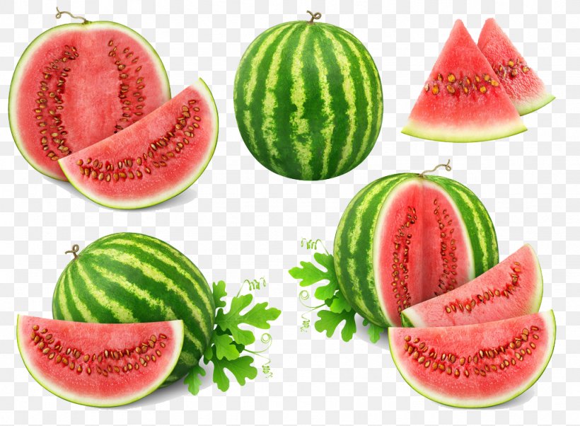 Watermelon Meat Slicer Cantaloupe Fruit, PNG, 1024x752px, Melon, Cantaloupe, Citrullus, Cucumber Gourd And Melon Family, Cutting Tool Download Free