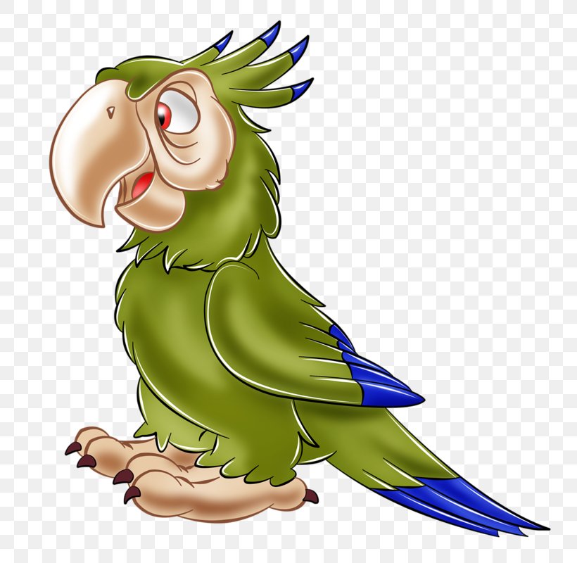 Budgerigar Bird Clip Art Parakeet, PNG, 800x800px, Budgerigar, Beak, Bird, Cartoon, Chicken Download Free