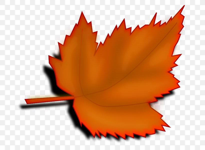 Clip Art Autumn Leaf Color Desktop Wallpaper, PNG, 768x599px, Autumn Leaf Color, Autumn, Flower, Leaf, Maple Leaf Download Free