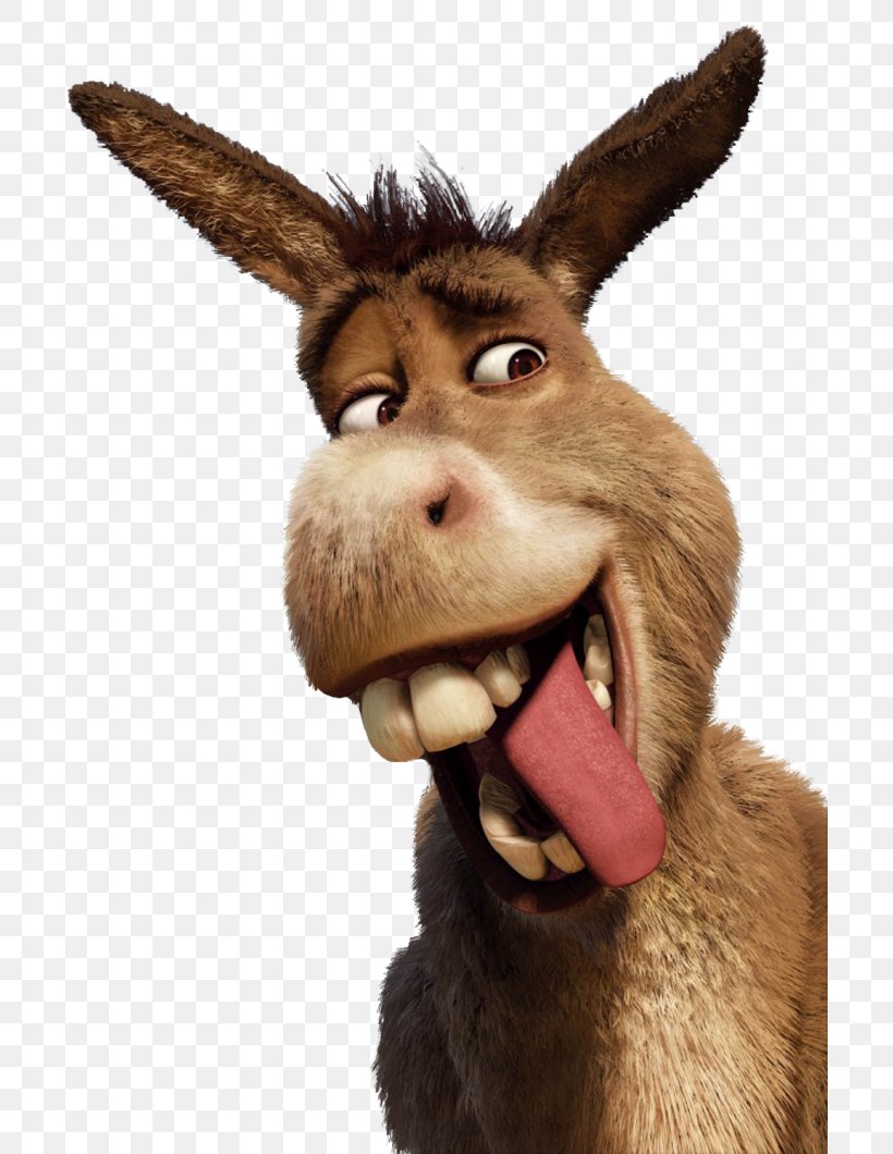 Donkey Princess Fiona Shrek The Musical YouTube Lord Farquaad, PNG, 700x1060px, Donkey, Dreamworks Animation, Fur, Horse Like Mammal, Livestock Download Free
