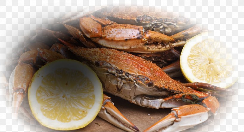 Dungeness Crab Maine Avenue Fish Market Snow Crab Red King Crab, PNG, 1392x754px, Dungeness Crab, Animal Source Foods, Calorie, Crab, Crab Meat Download Free