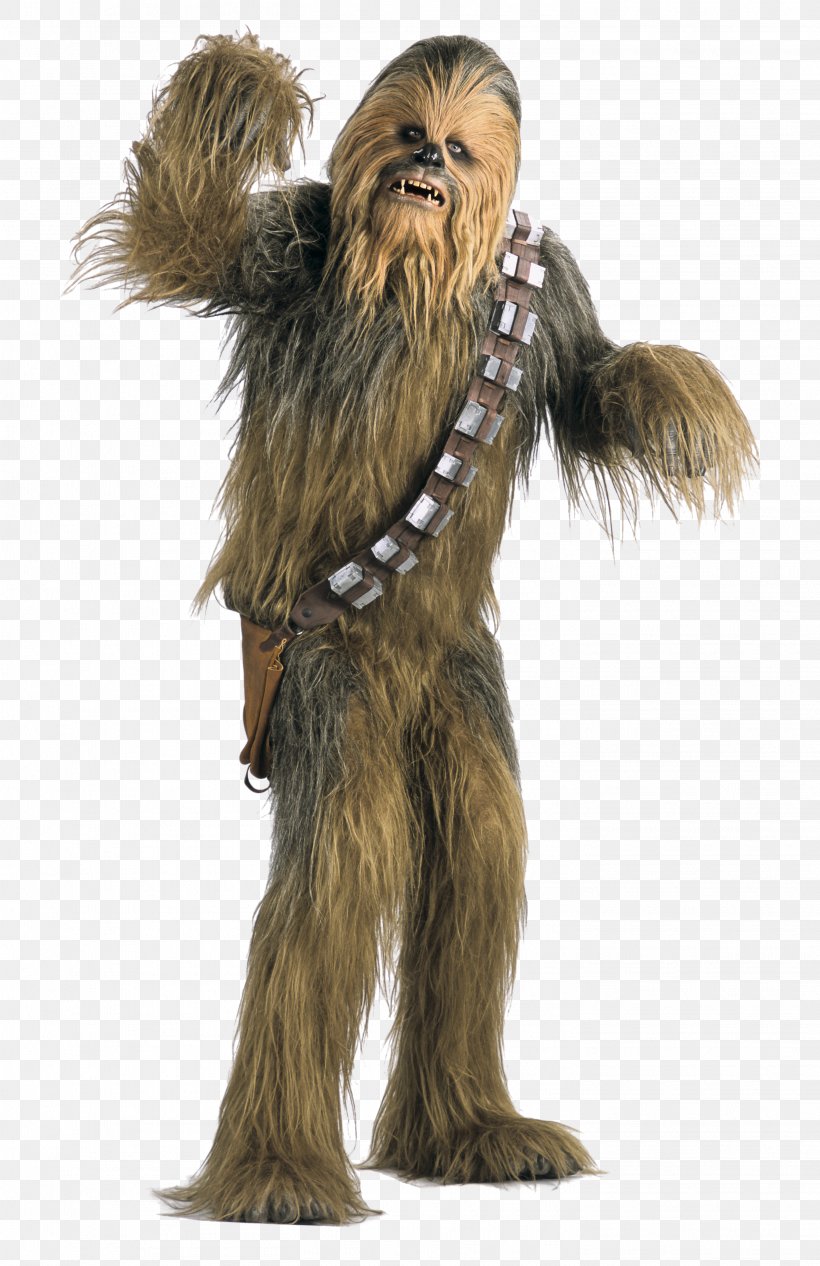 Chewbacca Han Solo Anakin Skywalker YouTube Wookiee, PNG, 2913x4500px, Chewbacca, Anakin Skywalker, Fictional Character, Fur, Han Solo Download Free