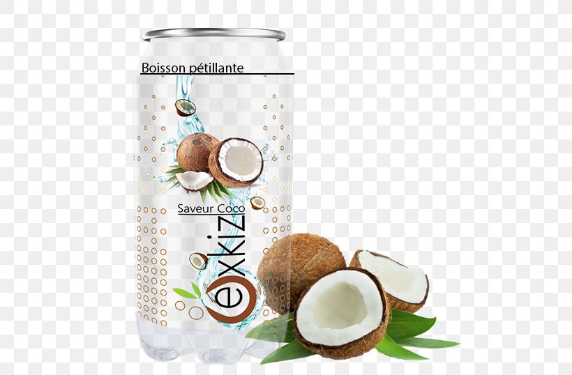 Tea Tree Oil Coconut Oil Acne Vitamin, PNG, 505x538px, Oil, Acne, Coconut, Coconut Oil, Food Download Free