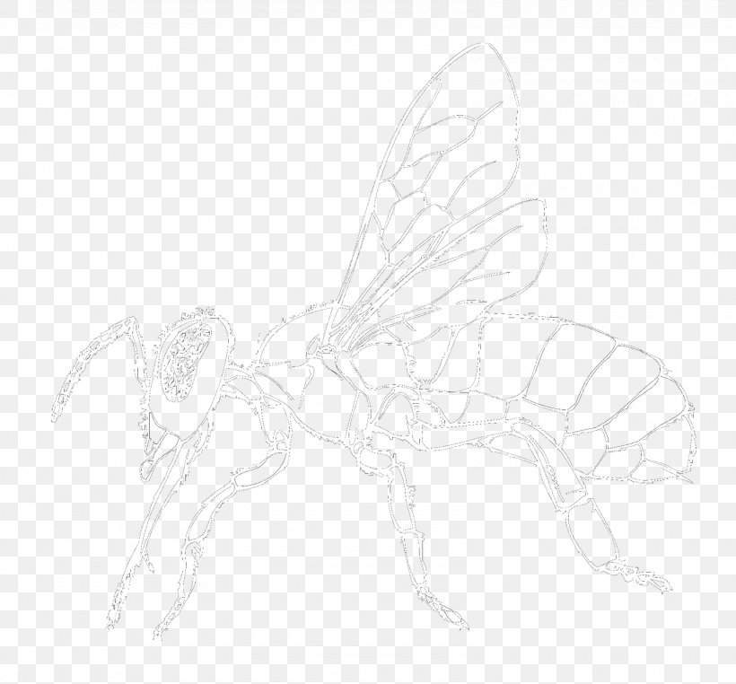 Butterfly Fairy Insect Wing Sketch, PNG, 1600x1487px, Butterfly, Artwork, Black And White, Butterflies And Moths, Cartoon Download Free