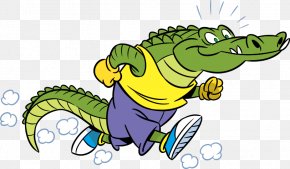 Cartoon Crocodile - Crocodile Alligator Cartoon Illustration PNG