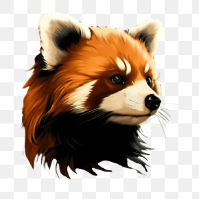 Raccoon - Red Panda Head Illustration PNG
