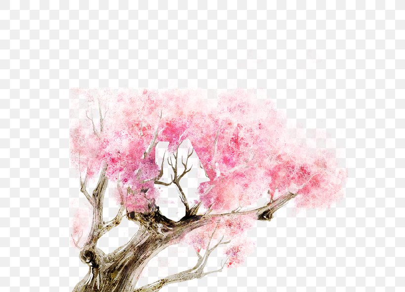 Cherry Blossom, PNG, 591x591px, Cherry Blossom, Blossom, Branch, Color, Copyright Download Free