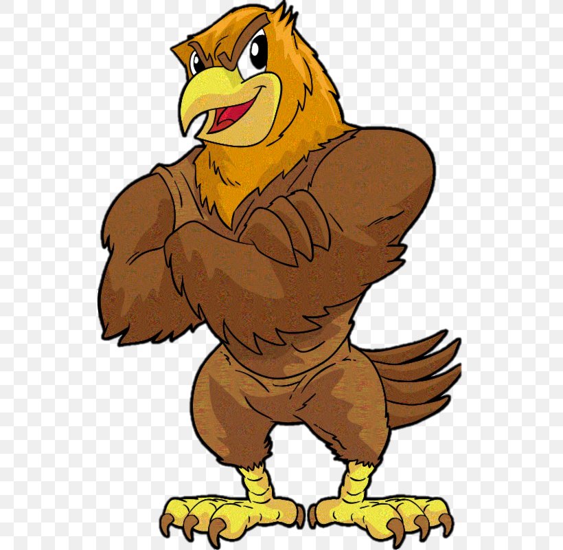 Clip Art Henery Hawk Image Cartoon, PNG, 536x800px, Henery Hawk, Animated Film, Beak, Bird, Bird Of Prey Download Free