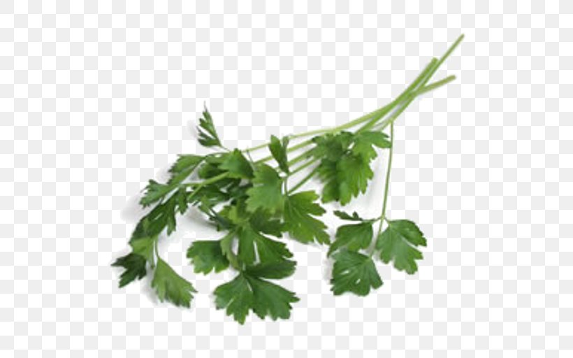 Parsley Tabbouleh Vegetable Salad FoodWorks Griffith, PNG, 512x512px, Parsley, Anthriscus, Celery, Chervil, Chinese Celery Download Free