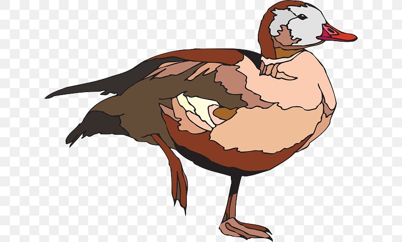 The Ugly Duckling Goose Cygnini Bird, PNG, 640x494px, Duck, Beak, Bird, Canada Goose, Chicken Download Free