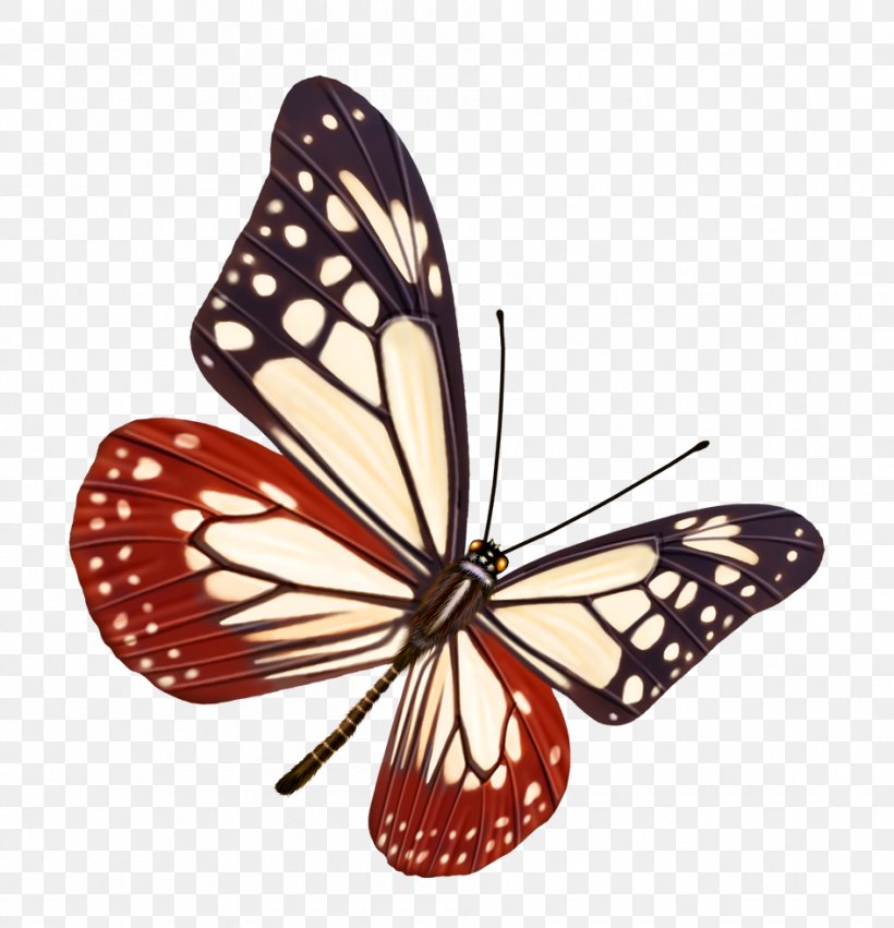 Color, PNG, 945x981px, Color, Arthropod, Brush Footed Butterfly, Butterfly, Computer Graphics Download Free