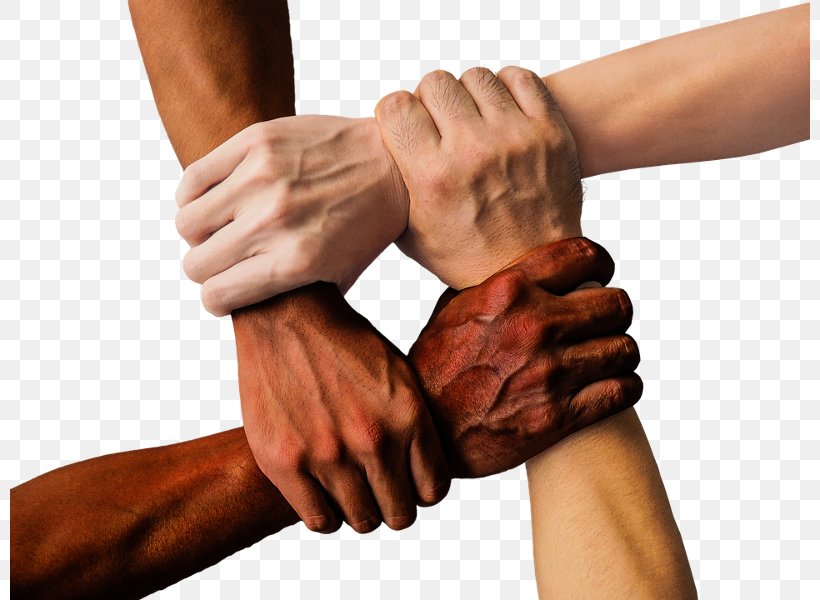 Diversity Organization Racism Multiculturalism Culture, PNG, 800x600px, Diversity, Arm, Business, Chiropractor, Cultural Diversity Download Free