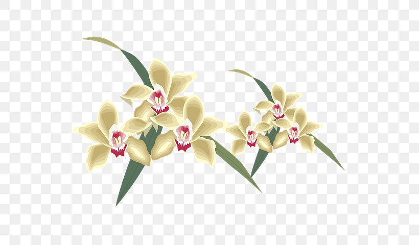 Flowers Background, PNG, 708x480px, Stock Photography, Artificial Flower, Botany, Cattleya, Cut Flowers Download Free