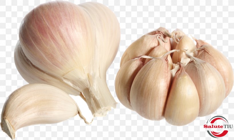 Garlic Bread Clove Pesto Shallot, PNG, 2048x1226px, Garlic Bread, Bulb, Clove, Condiment, Cooking Download Free