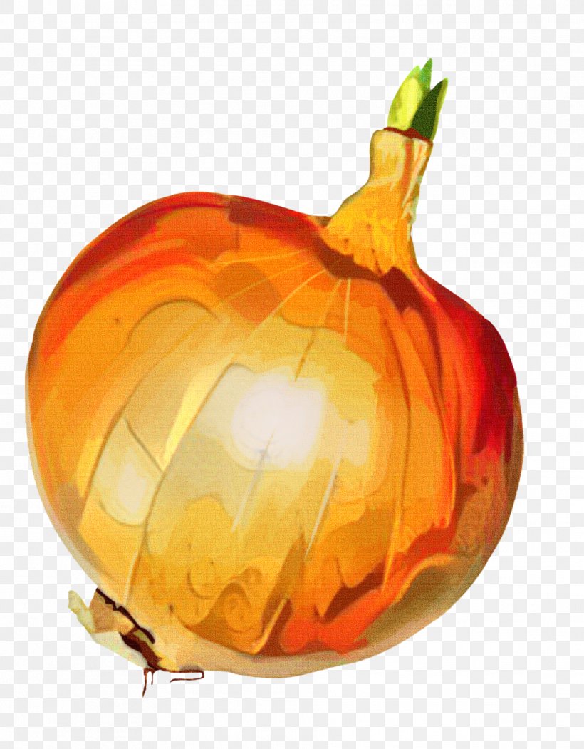 Pumpkin Calabaza Winter Squash Gourd, PNG, 1876x2405px, Pumpkin, Allium, Amaryllis Family, Calabaza, Food Download Free