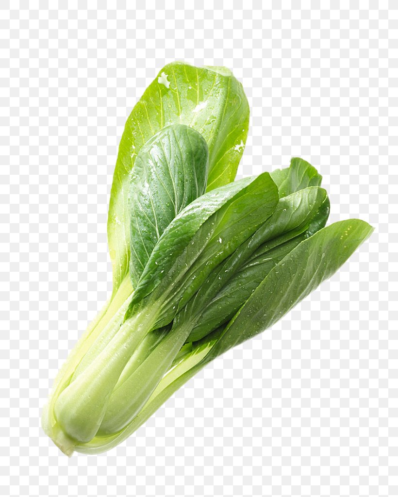 Romaine Lettuce Choy Sum Vegetable Napa Cabbage Chinese Cabbage, PNG, 768x1024px, Romaine Lettuce, Bok Choy, Cabbage, Chard, Chinese Cabbage Download Free