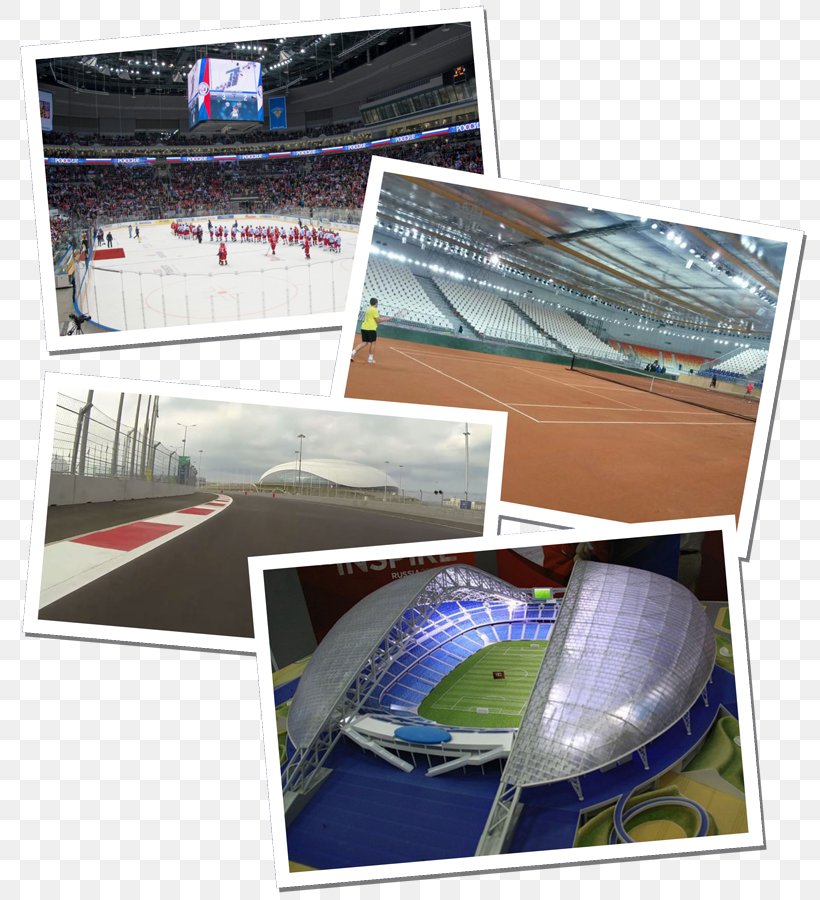 2014 Winter Olympics 2018 Winter Olympics Sochi Olympic Games Fisht Olympic Stadium, PNG, 800x900px, 2014 Winter Olympics, 2020 Summer Olympics, Brand, Fisht Olympic Stadium, International Olympic Committee Download Free