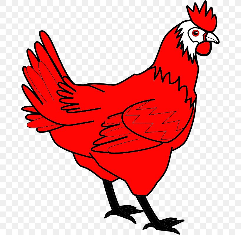 Bird Line Drawing, PNG, 675x800px, Stencil, Beak, Bird, Chicken, Chicken Coop Download Free