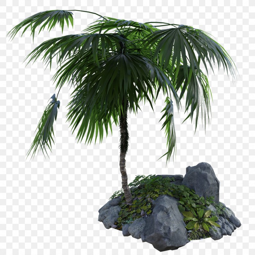 Coconut Tree Cartoon, PNG, 1280x1280px, Asian Palmyra Palm, Arecales, Art, Coconut, Desert Palm Download Free