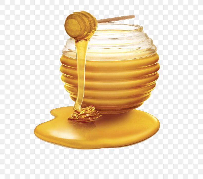 Honey Bee Honey Bee Clip Art, PNG, 589x720px, Bee, Cheerios, Flavor, Food, Honey Download Free
