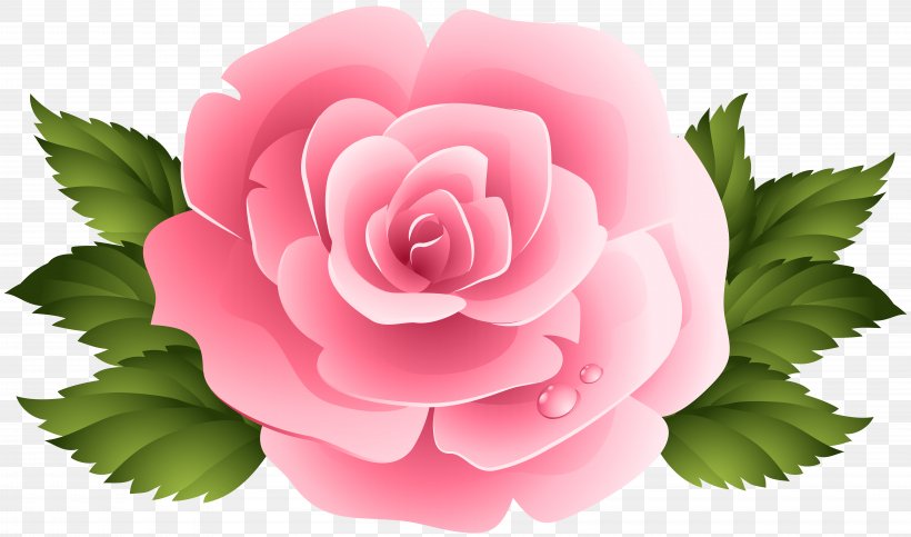 Pink Garden Roses Centifolia Roses Clip Art, PNG, 8000x4715px, Beach Rose, Cut Flowers, Floral Design, Floristry, Flower Download Free