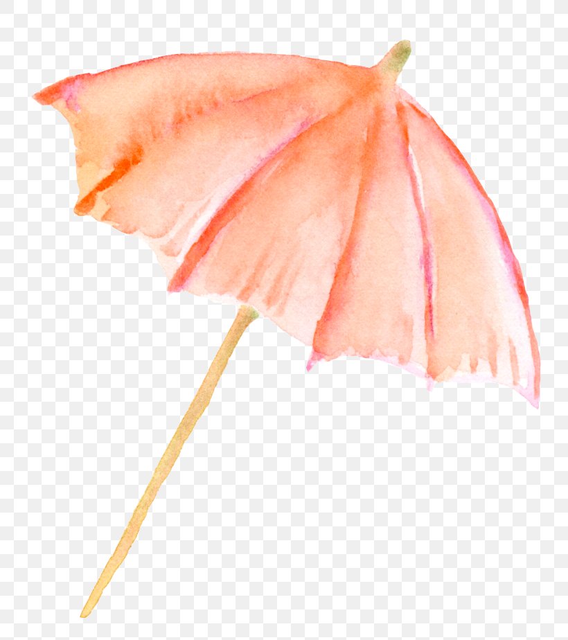 Umbrella, PNG, 796x924px, Umbrella, Color, Gratis, Jpeg Network Graphics, Orange Download Free