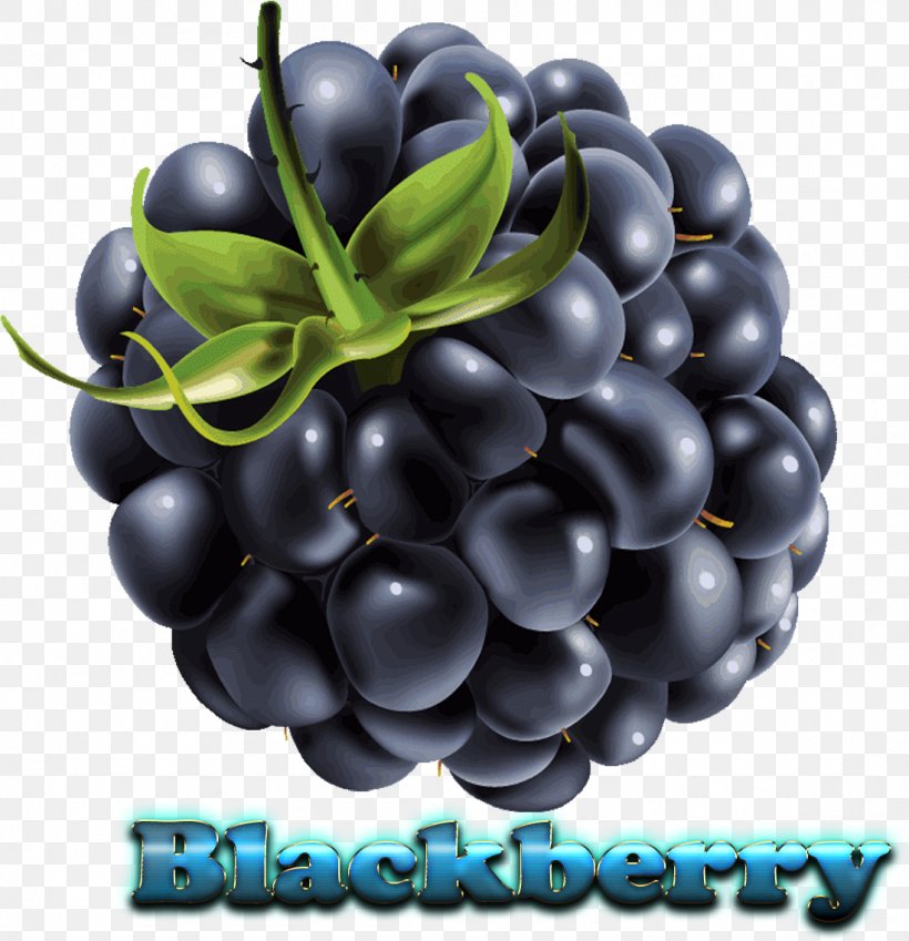 Pie Cartoon, PNG, 1099x1139px, Blackberry, Accessory Fruit, Berries, Berry, Bilberry Download Free