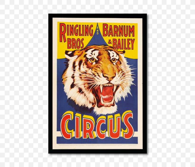 United States Of America Tiger Ringling Bros. And Barnum & Bailey Circus Ringling Brothers, PNG, 500x700px, United States Of America, Advertising, Art, Big Cats, Canvas Download Free